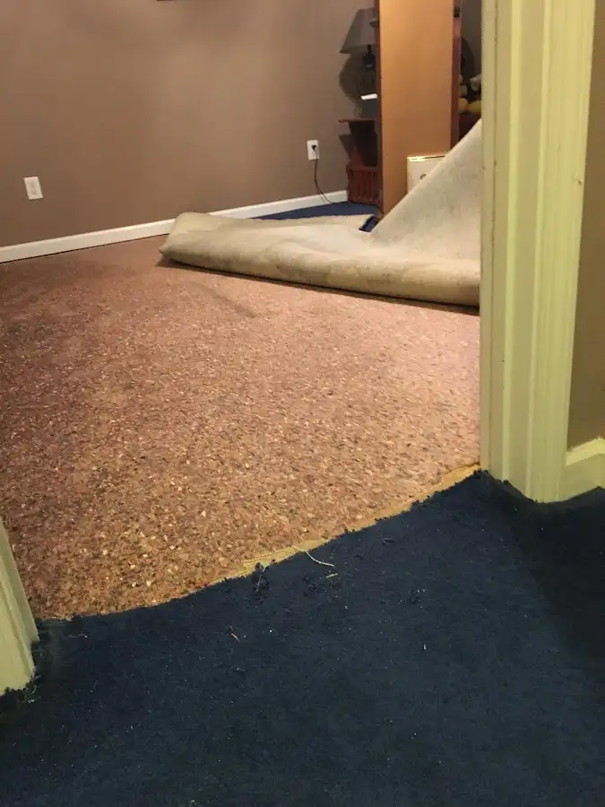 Carpet pad removal revealing water damage during Water Mitigation Services in Eufaula